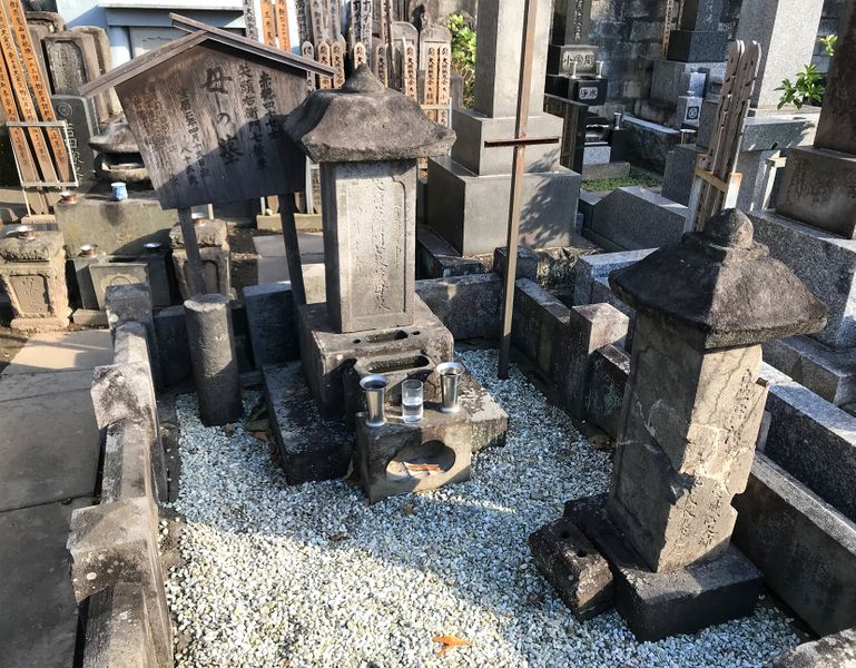 ファイル:Emo mom.jpg